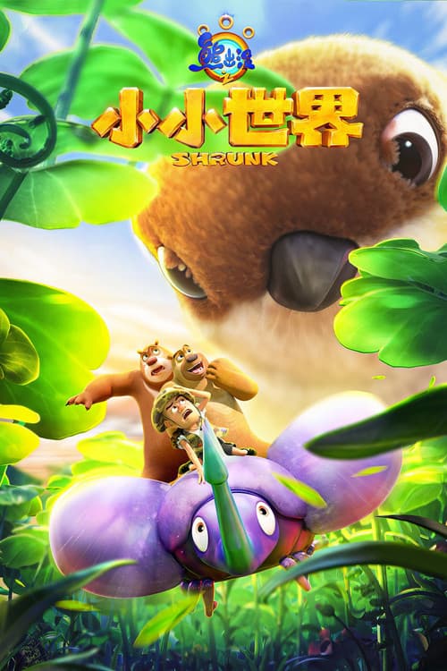 熊出没之小小世界 afişi
