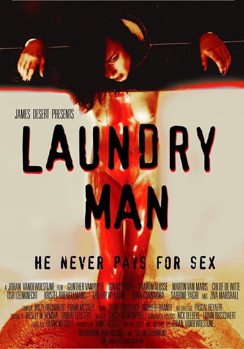Laundry Man afişi