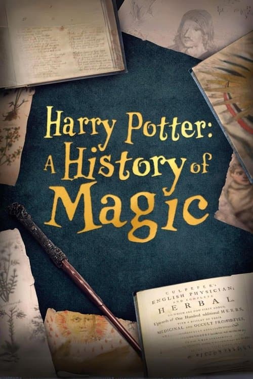 Harry Potter: A History Of Magic afişi