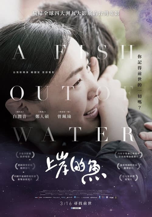 上岸的魚 afişi