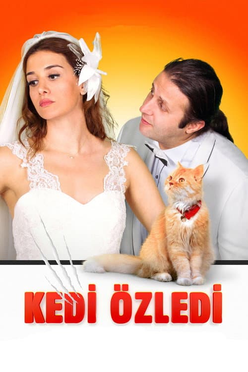 Kedi Özledi afişi