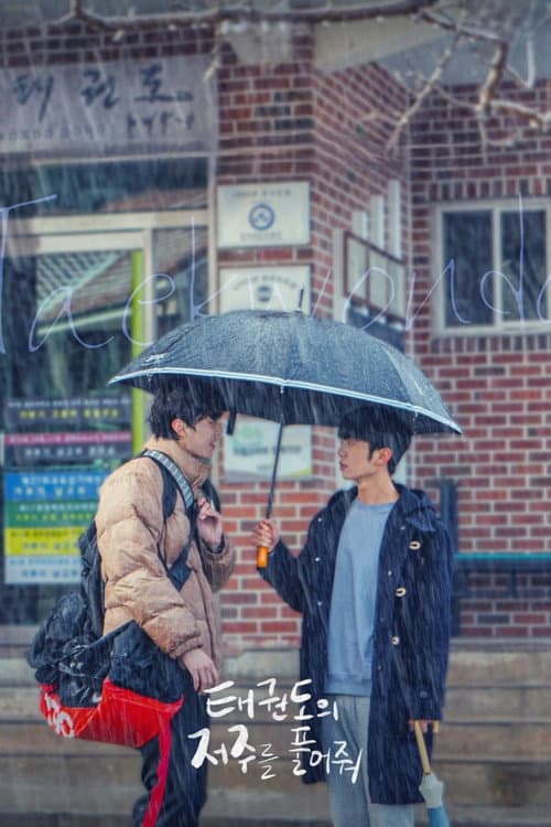 태권도의 저주를 풀어줘 afişi