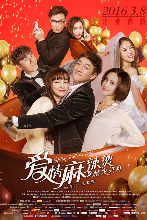 爱情麻辣烫之情定终 afişi