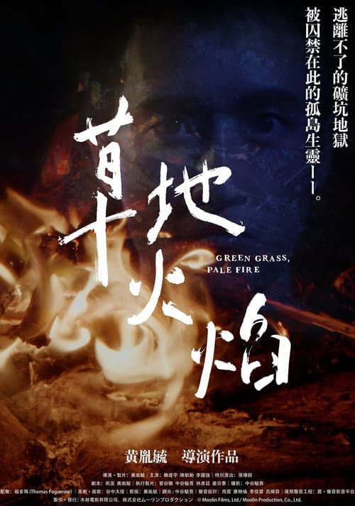 草地火焰 afişi