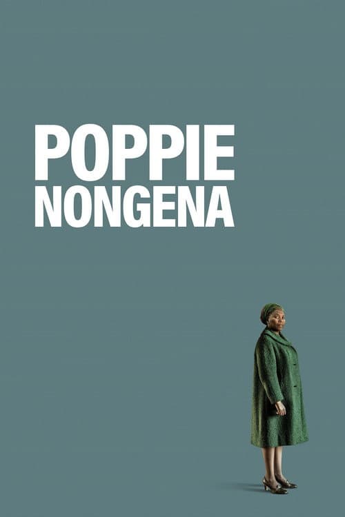 Poppie Nongena'nın Uzun Yolculuğu afişi