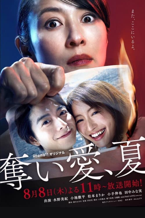 奪い愛、夏 afişi