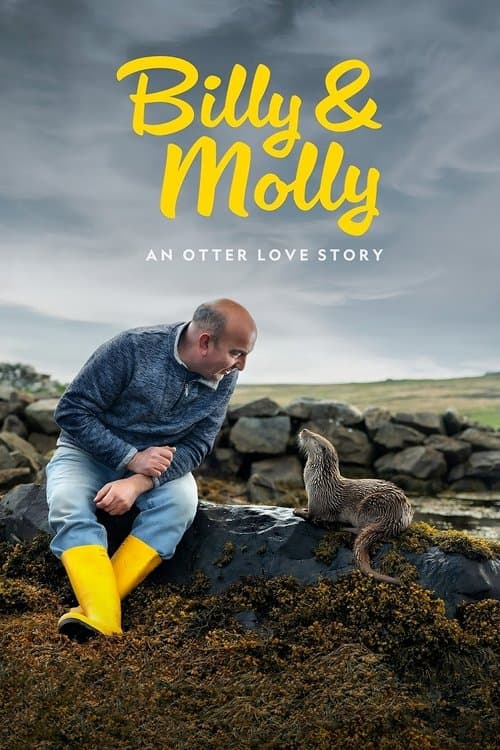 Billy ve Molly: Bambaşka Bir Sevginin Hikayesi afişi