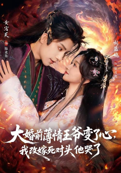 大婚前薄情王爷变了心，我改嫁死对头他哭了 afişi