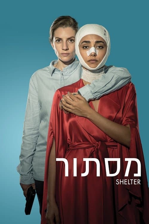 Shelter afişi
