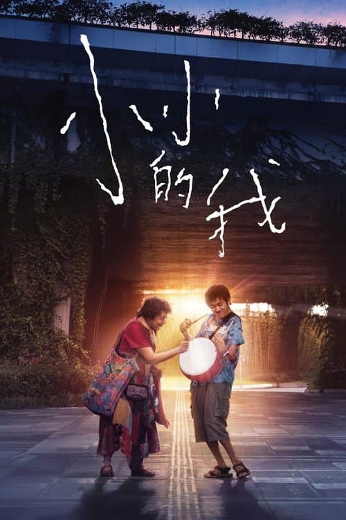 小小的我 afişi