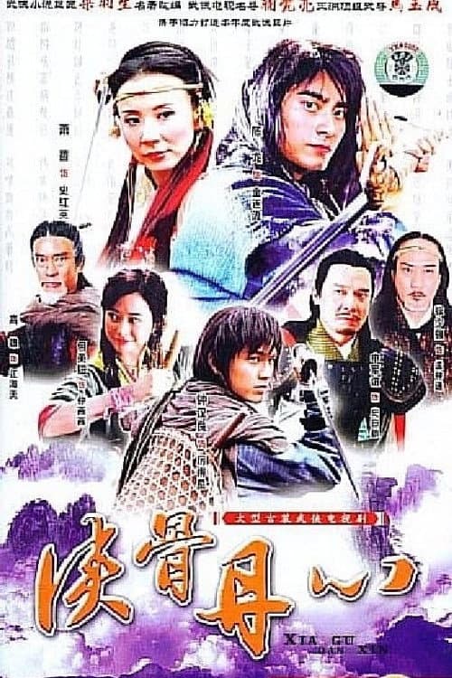 侠骨丹心 afişi