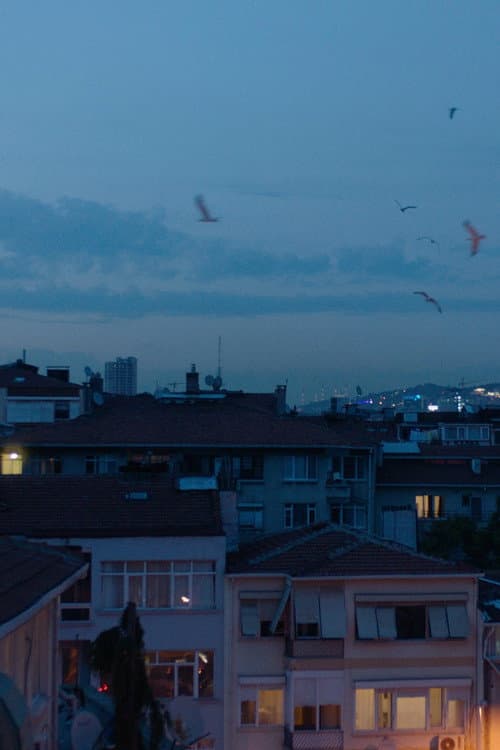 Yanıltıcı Derinlikler afişi