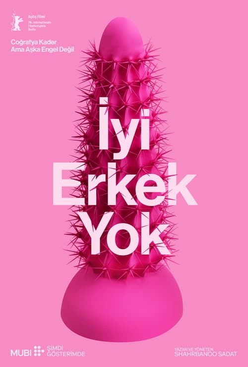 İyi Erkek Yok afişi