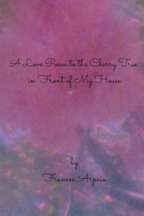 A Love Poem to the Cherry Tree in Front of My House afişi