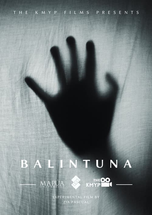 Balintuna afişi
