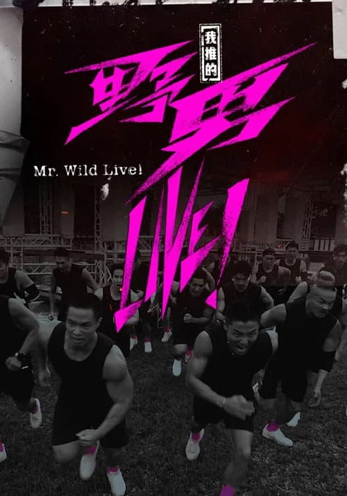 我推的野男LIVE! afişi