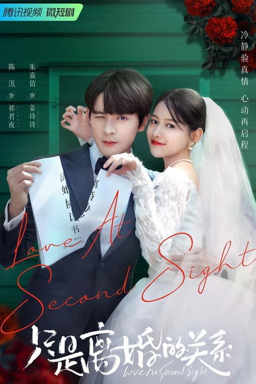 只是离婚的关系 afişi
