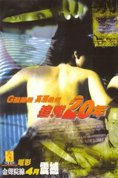 追凶20年 afişi