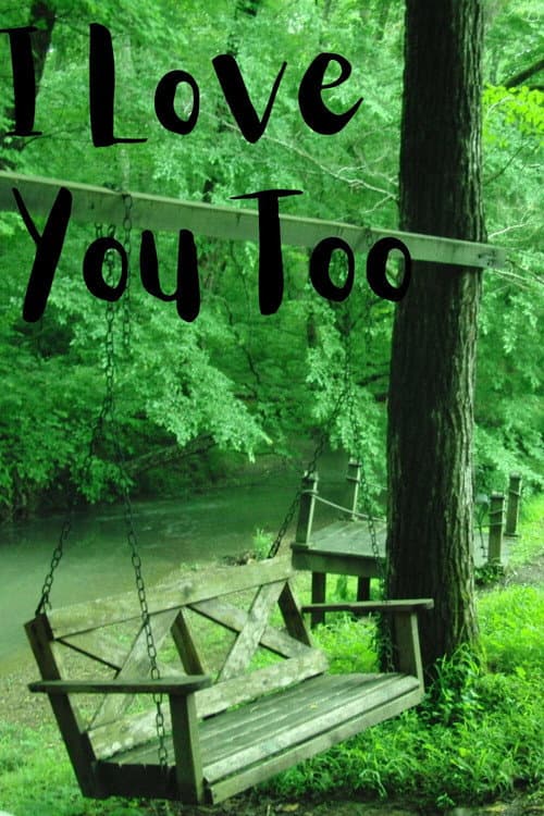 I Love You Too afişi