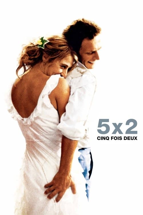 5x2 afişi