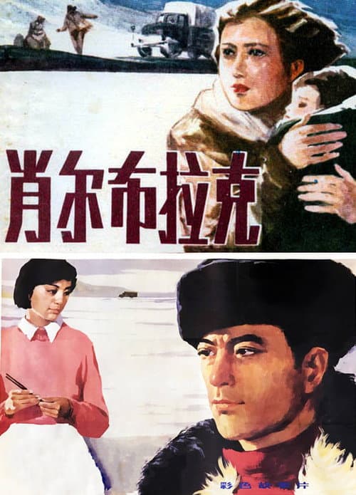 肖尔布拉克 afişi