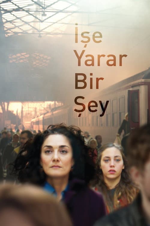 İşe Yarar Bir Şey afişi