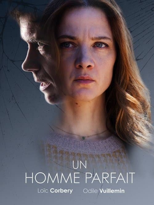 Un homme parfait afişi