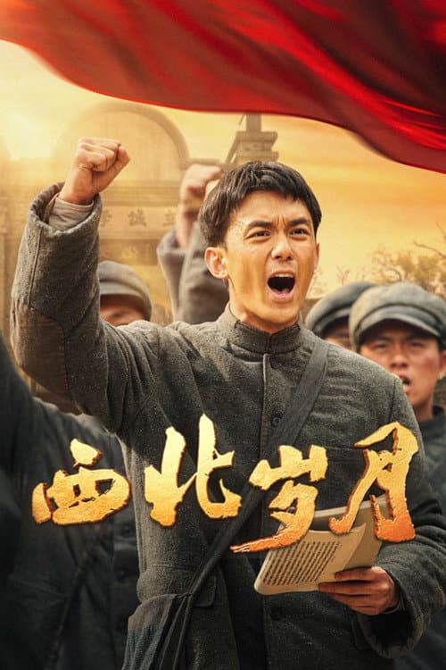 西北岁月 afişi
