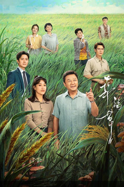 幸福草 afişi