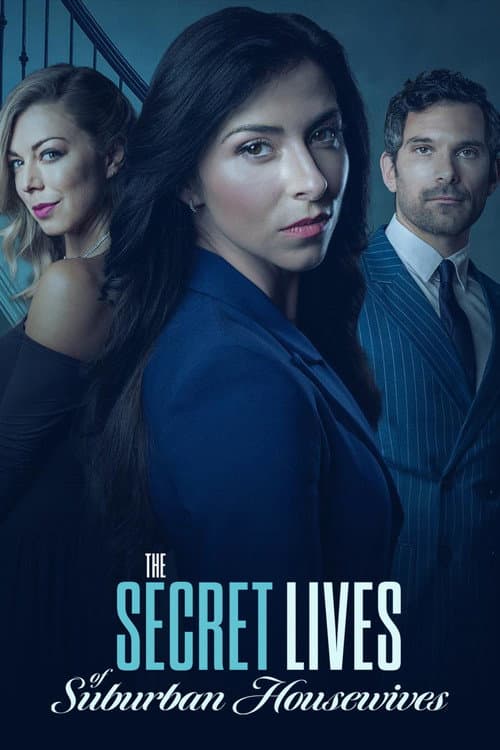 The Secret Lives of Suburban Housewives afişi