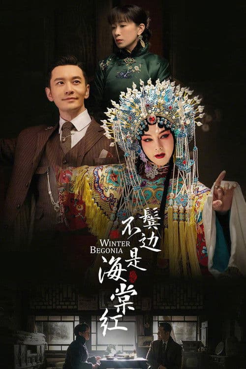 鬓边不是海棠红 afişi