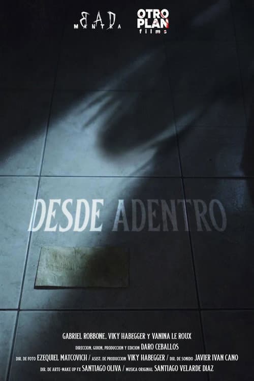 Desde adentro afişi