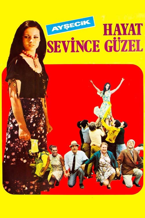 Hayat Sevince Güzel afişi