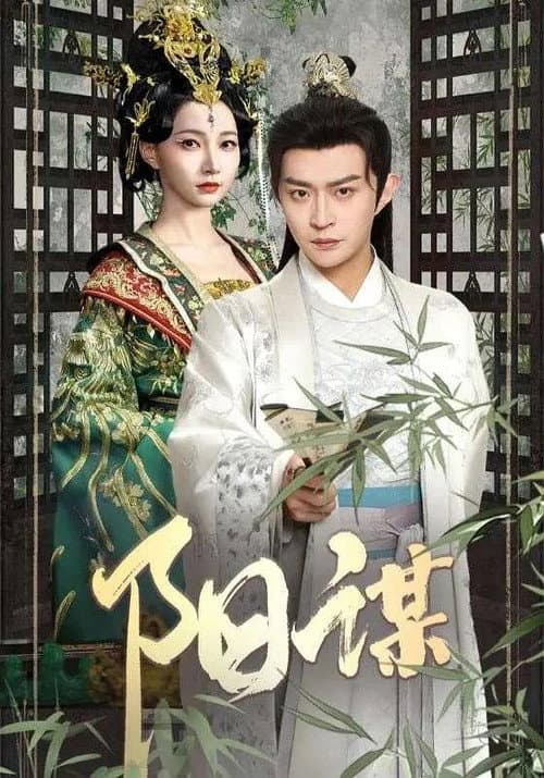 阳谋 afişi