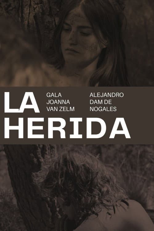 La herida afişi