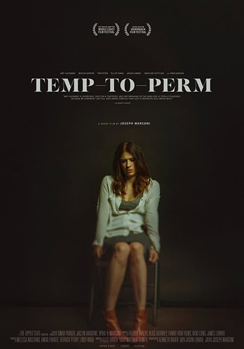Temp-To-Perm afişi