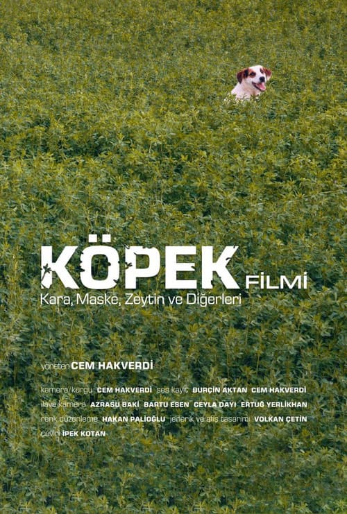 Köpek Filmi afişi
