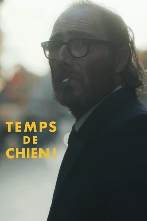 Temps de chien ! afişi