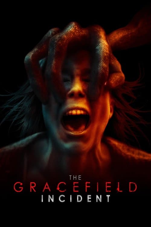 The Gracefield Incident afişi