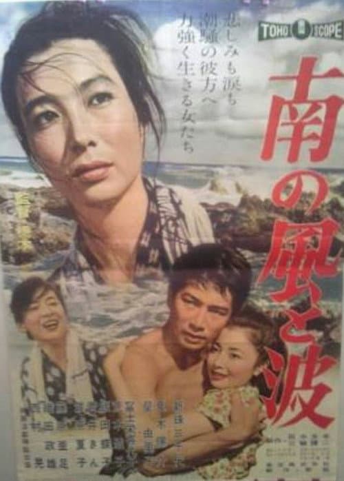 南の風と波 afişi