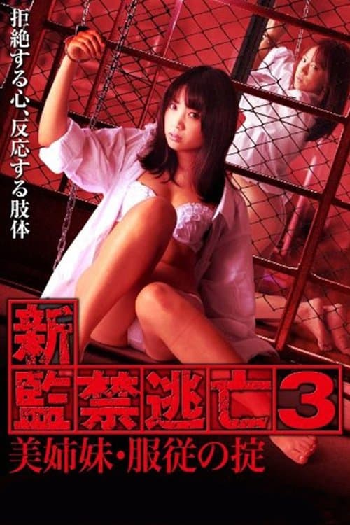 新・監禁逃亡3～美姉妹・服従の掟～ afişi