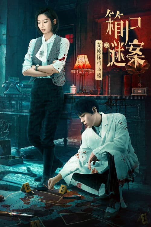 女侦探司马楠之箱尸谜案 afişi