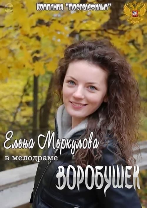 Воробушек afişi