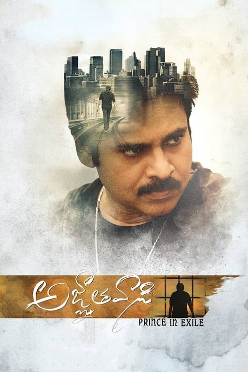 అజ్ఞాతవాసి afişi