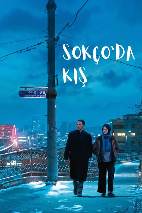 Sokço'da Kış afişi