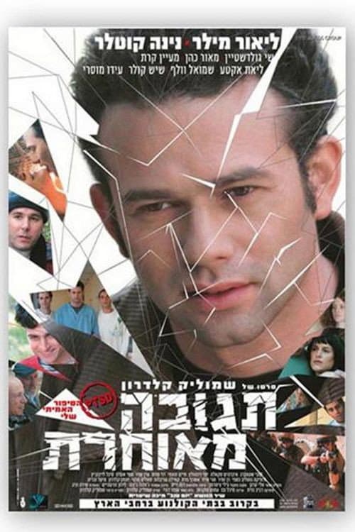תגובה מאוחרת afişi