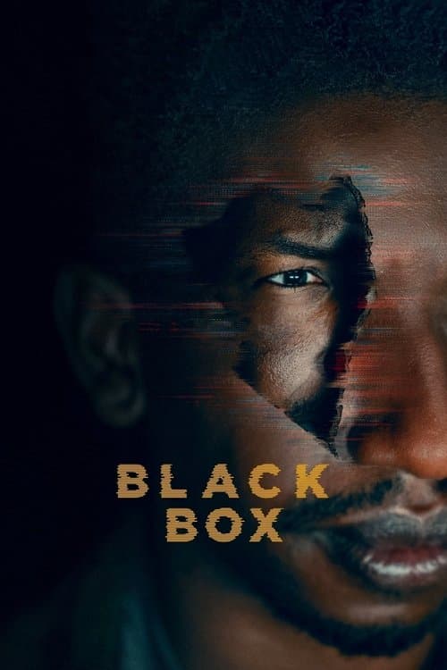 Black Box afişi