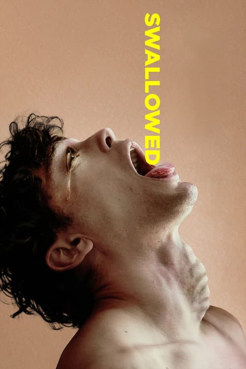 Swallowed afişi