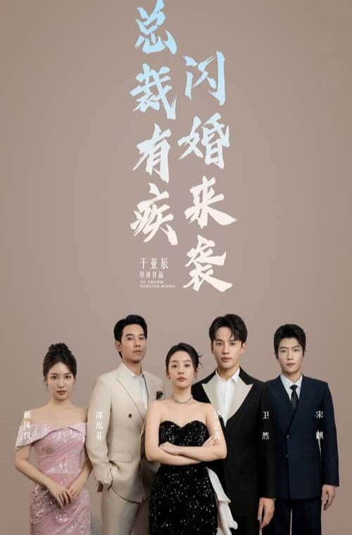 总裁有疾闪婚来袭 afişi