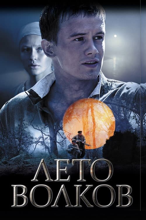 Лето волков afişi